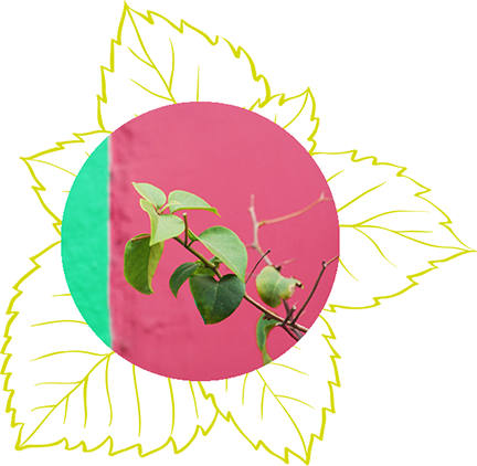 bild-inspiration-blume-01-ast