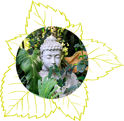 bild-inspiration-blume-02-buddah