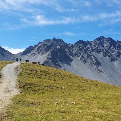 0516d6ac-5144-490c-9a73-38eb8cf4c11d