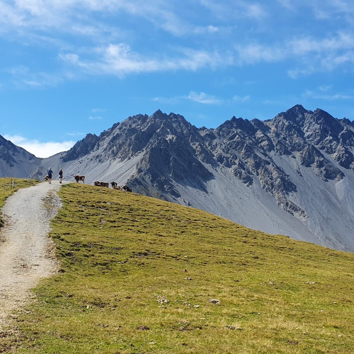 0516d6ac-5144-490c-9a73-38eb8cf4c11d